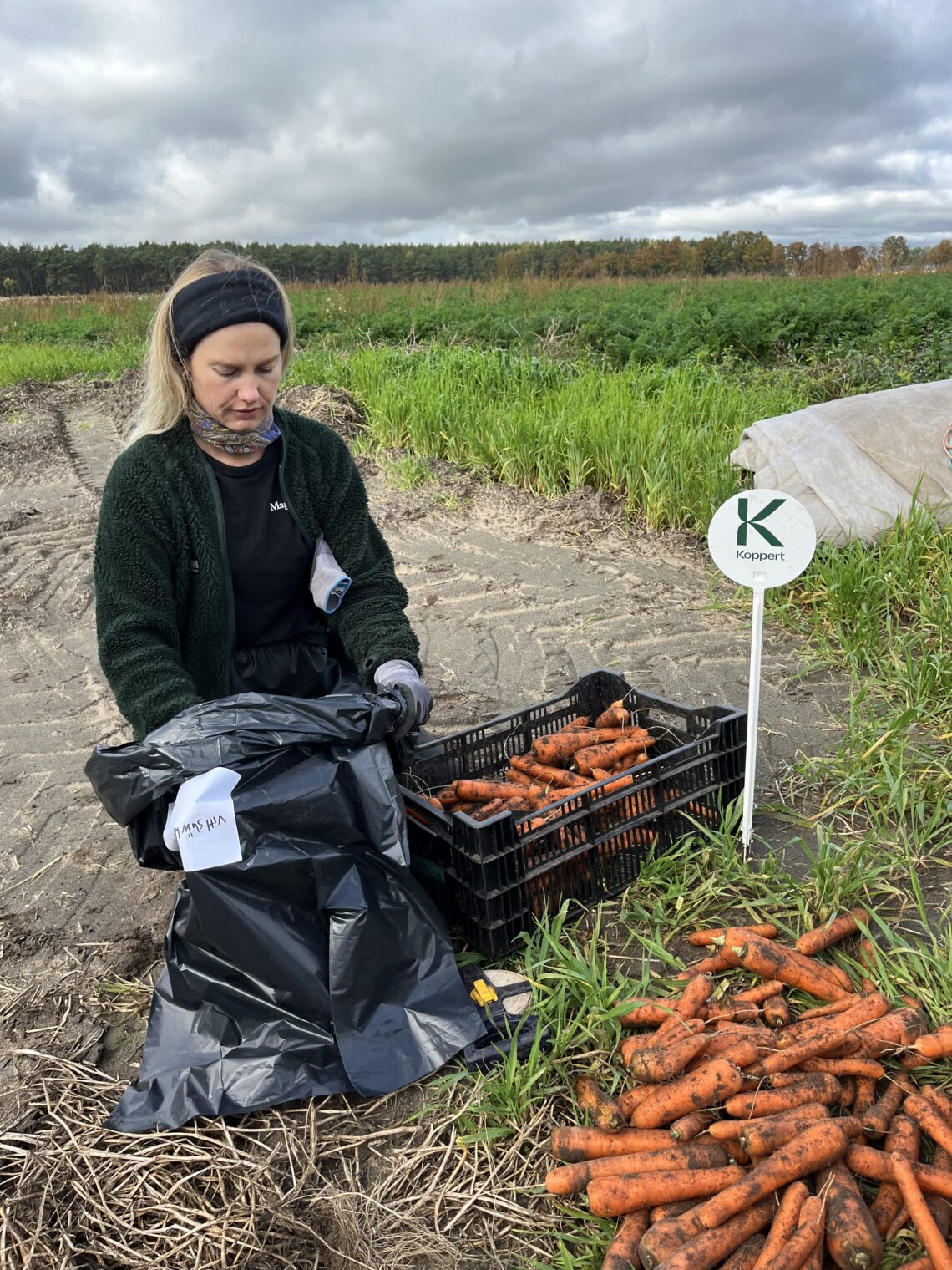 Siri Larsson Odlingsansvarig Magnihill morötter svenska sverige odling