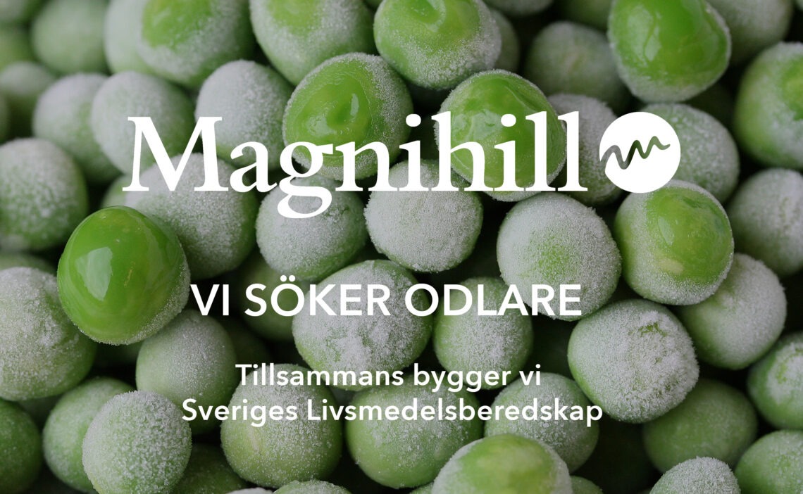 Magnihill odlare odla ekologiskt eko KRAV ärter rotfrukter