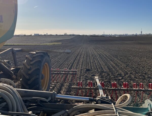 Sådd av ärter 2026 Magnihill Från Sverige